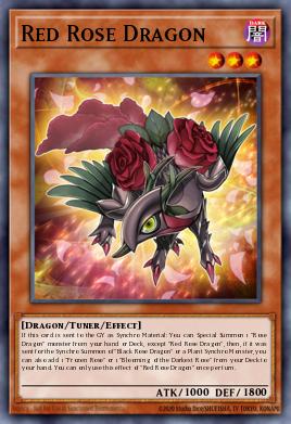 Red Rose Dragon