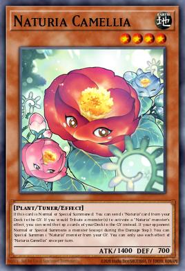 Naturia Camellia