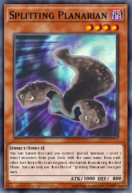 Splitting Planarian