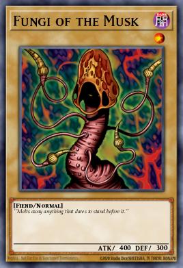 Fungi of the Musk