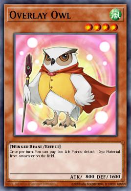 Overlay Owl