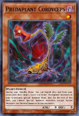 Predaplant Cordyceps