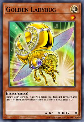 Golden Ladybug