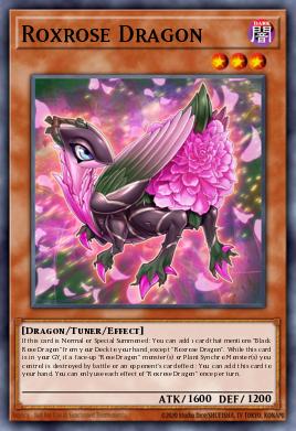 Roxrose Dragon