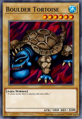 Boulder Tortoise