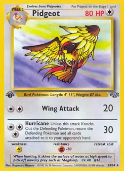Pidgeot (Jungle 24)