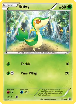 Snivy (Black & White 1)