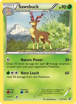 Sawsbuck (Black & White 14)