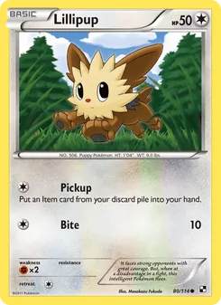 Lillipup (Black & White 80)