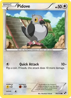 Pidove (Black & White 84)