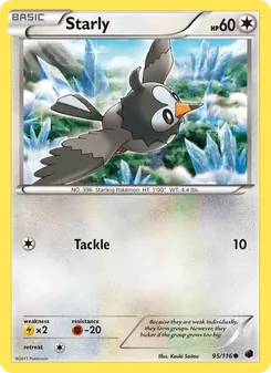 Starly (Plasma Freeze 95)