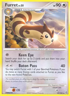 Furret (Secret Wonders 27)