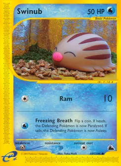 Swinub (Skyridge 107)