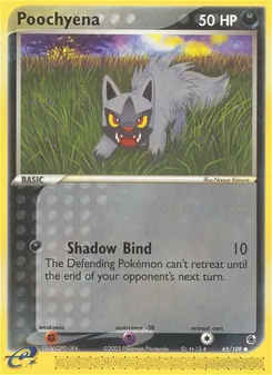 Poochyena (Ruby & Sapphire 65)