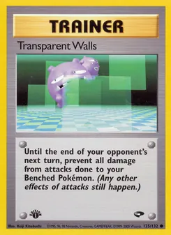 Transparent Walls (Gym Challenge 125)
