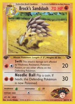 Brock's Sandslash (Gym Challenge 36)