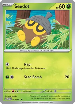 Seedot (Mega Evolution 13)
