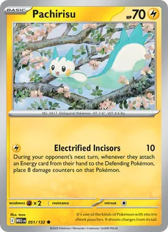 Pachirisu (Mega Evolution 51)