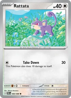 Rattata (Perfect Order 60)