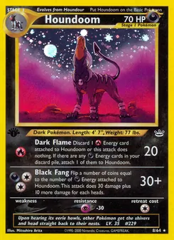 Houndoom (Neo Revelation 8)