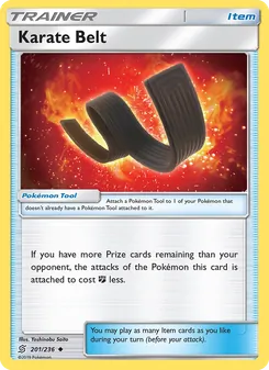 Karate Belt (Unified Minds 201)