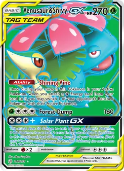 Venusaur & Snivy-GX (Cosmic Eclipse 210)