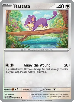 Rattata (151 19)