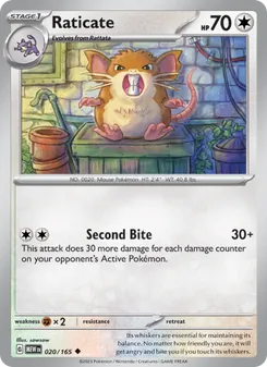 Raticate (151 20)