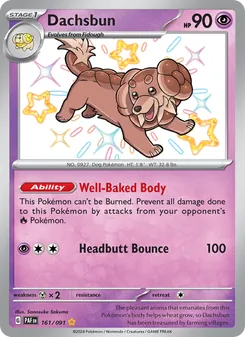 Dachsbun (Paldean Fates 161)