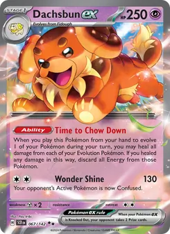 Dachsbun ex (Stellar Crown 67)
