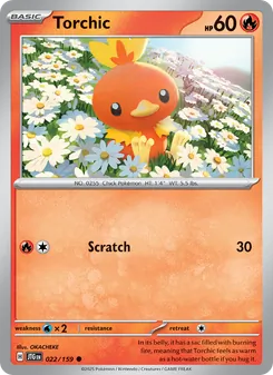 Torchic (Journey Together 22)