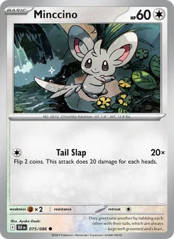 Minccino (Black Bolt 75)