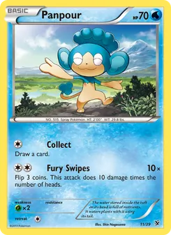 Panpour (Kalos Starter Set 11)