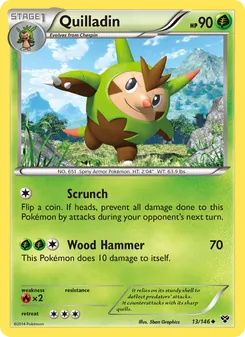 Quilladin (XY 13)