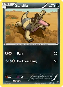 Sandile (XY 69)