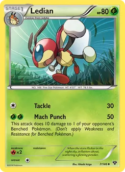 Ledian (XY 7)