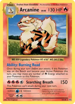 Arcanine (Evolutions 18)