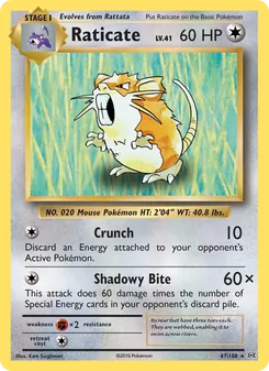 Raticate (Evolutions 67)