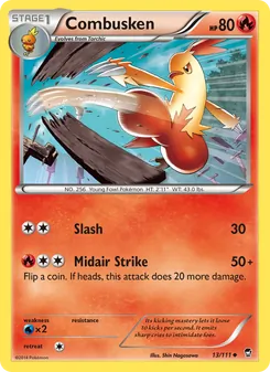 Combusken (Furious Fists 13)