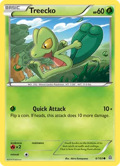 Treecko (Primal Clash 6)