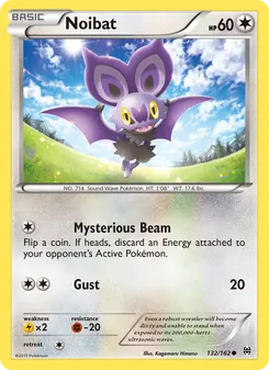 Noibat (BREAKthrough 132)